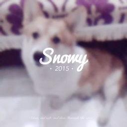 娱乐吃瓜少女喵,揭秘娱乐圈那些不为人知的幕后故事